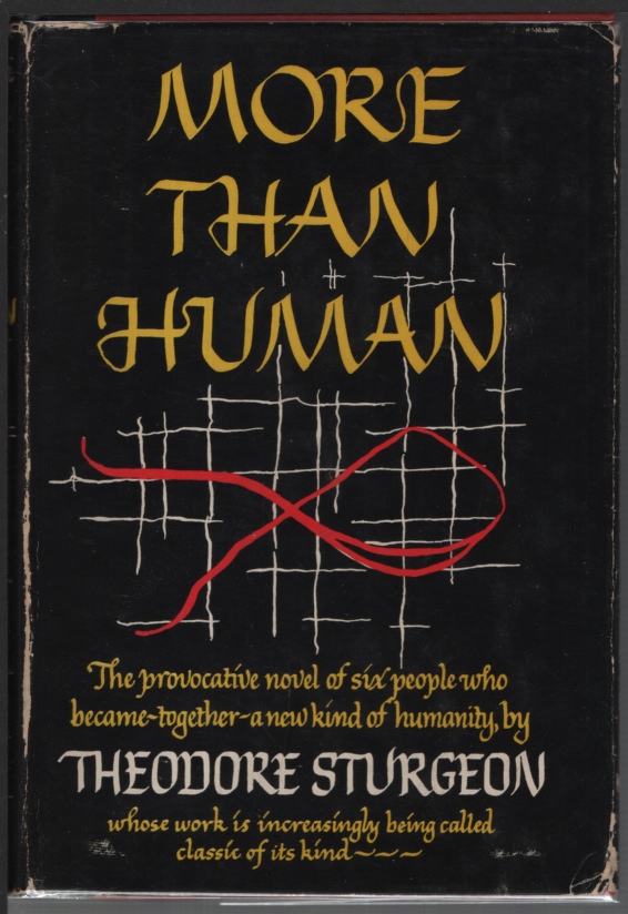 Image for More Than Human